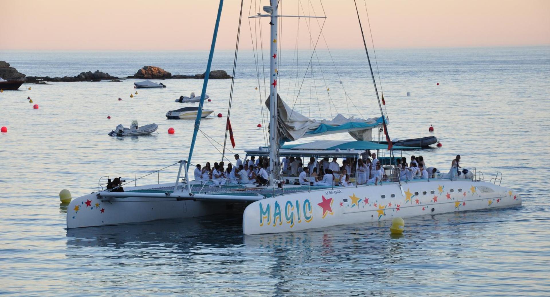 Daily sailing cruises