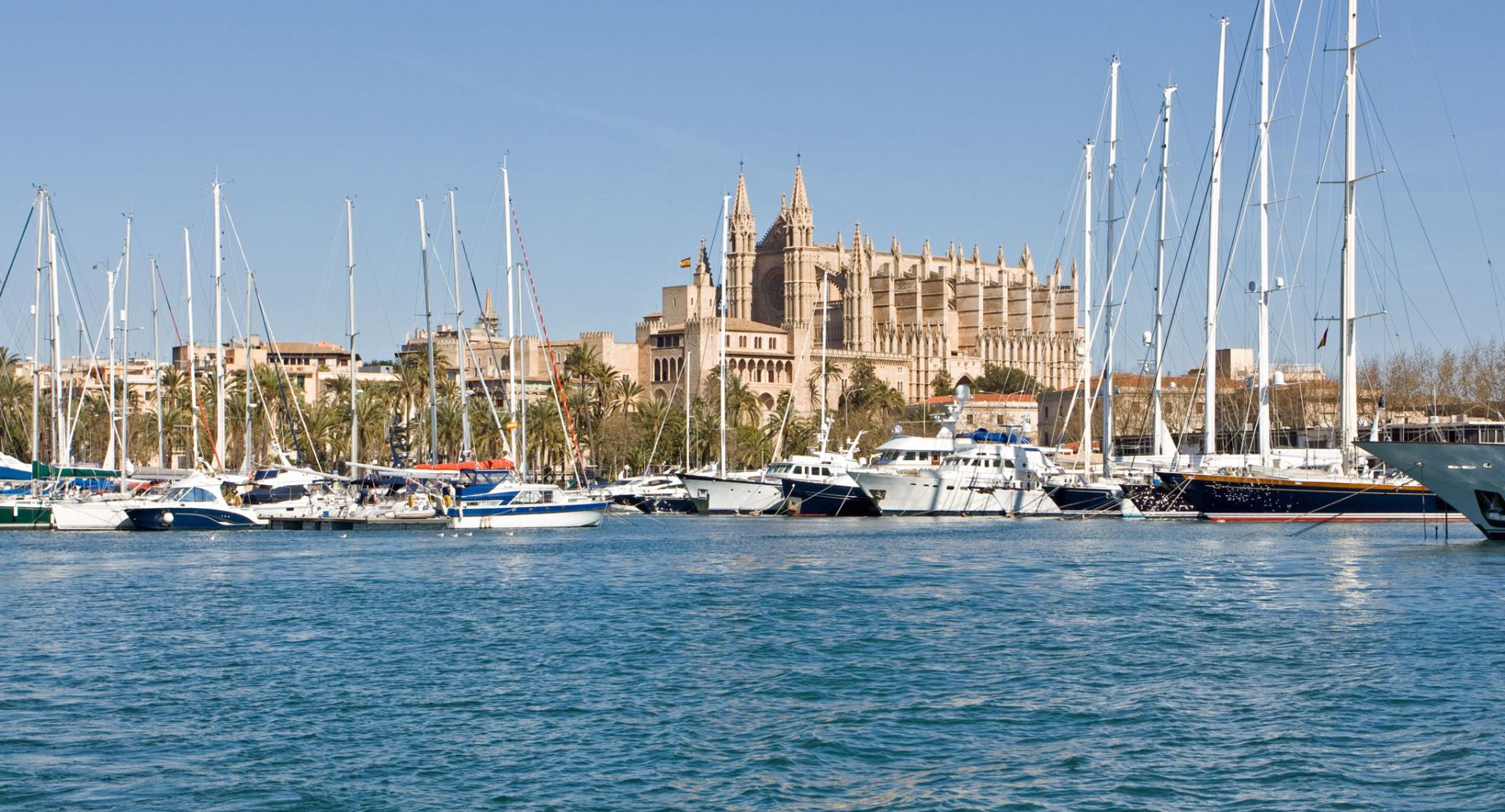 Creuers amb catamarà a la Badia de Palma amb un plus d'exclusivitat