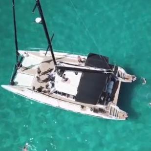 Model Freebird 50