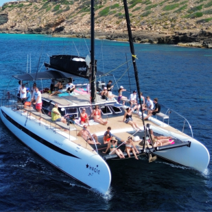 Model Freebird 50 -> 100% ELÈCTRIC