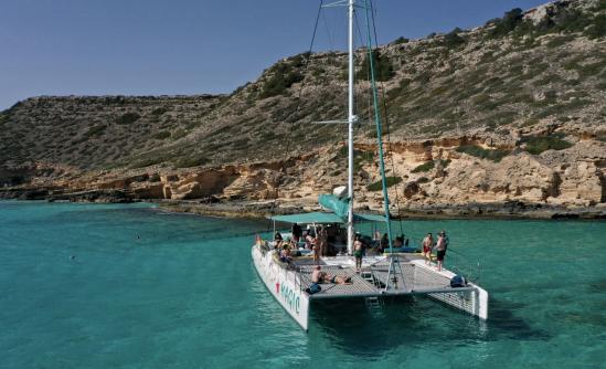 Excursions exclusives en catamaran dans la Baie de Palma